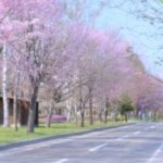 ゆっくりとカスタマイズ