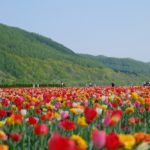 はじめましてＷｏｒｄＰｒｅｓｓ！