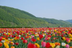 はじめましてＷｏｒｄＰｒｅｓｓ！