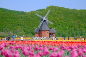 ＷｏｒｄＰｒｅｓｓに移行したわけ