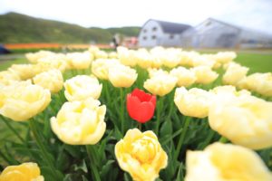 旅のお供は「広角レンズ」がおススメ！