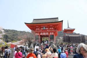 【おすすめフォトスポット】そうだ京都、行こう。