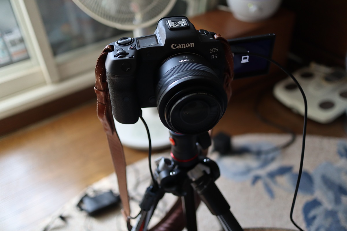 自分のカメラをWebカメラにするならDCカプラーを使うと便利 | いつも 