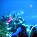 【想い出プレイバック】世界自然遺産になるかも・・・東洋のガラパゴス 美しき西表島