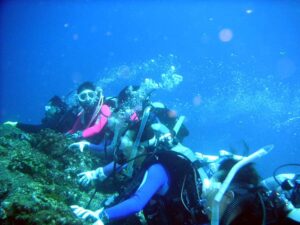 【想い出プレイバック】世界自然遺産になるかも・・・東洋のガラパゴス　美しき西表島